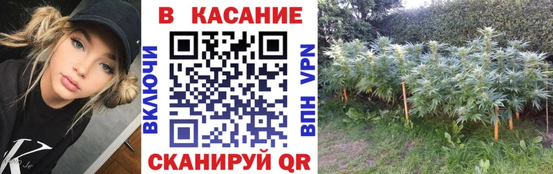 Виды наркоты Мензелинск Alpha PVP Марихуана hydra зеркало АМФ Гашиш Мефедрон