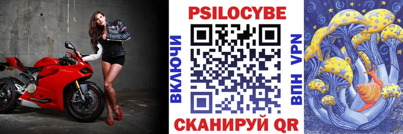 магазин    Мензелинск  Псилоцибиновые грибы мицелий 